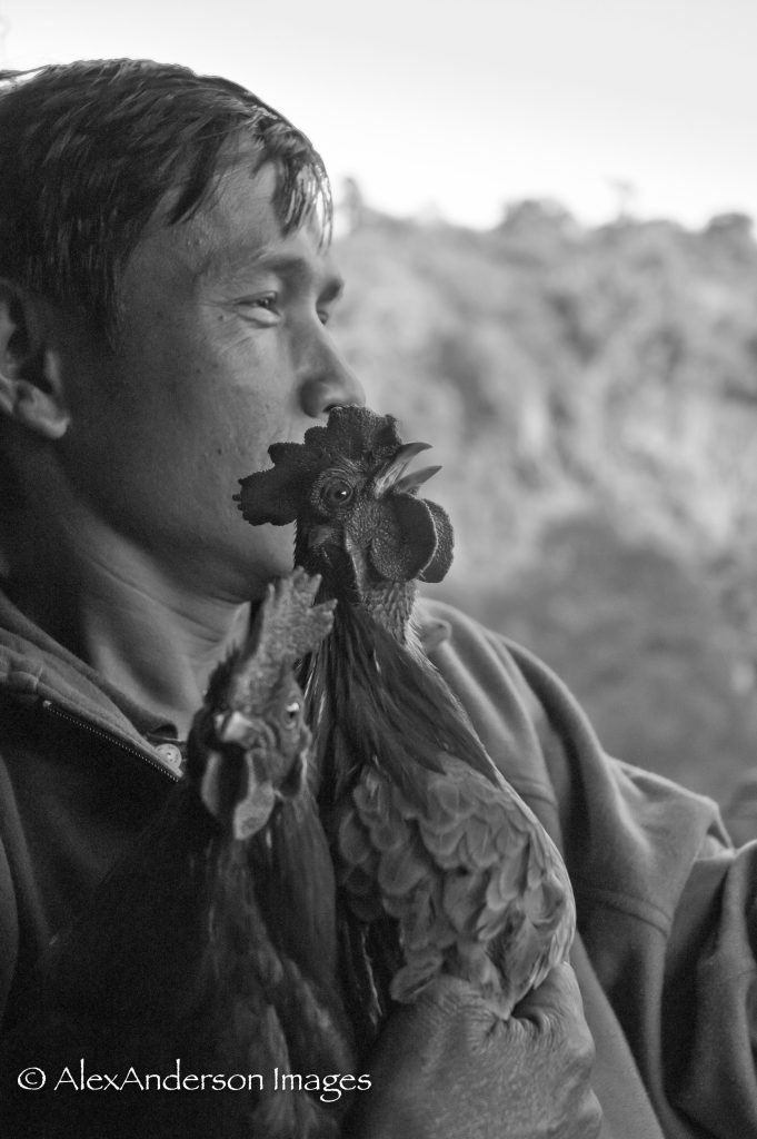 Man with rooster