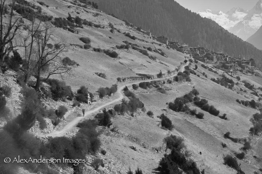 The long road home bw