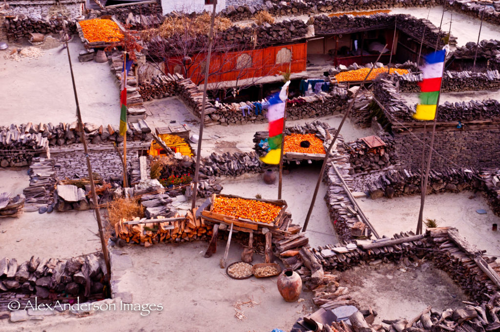 Drying corn on rooftops, Marpha