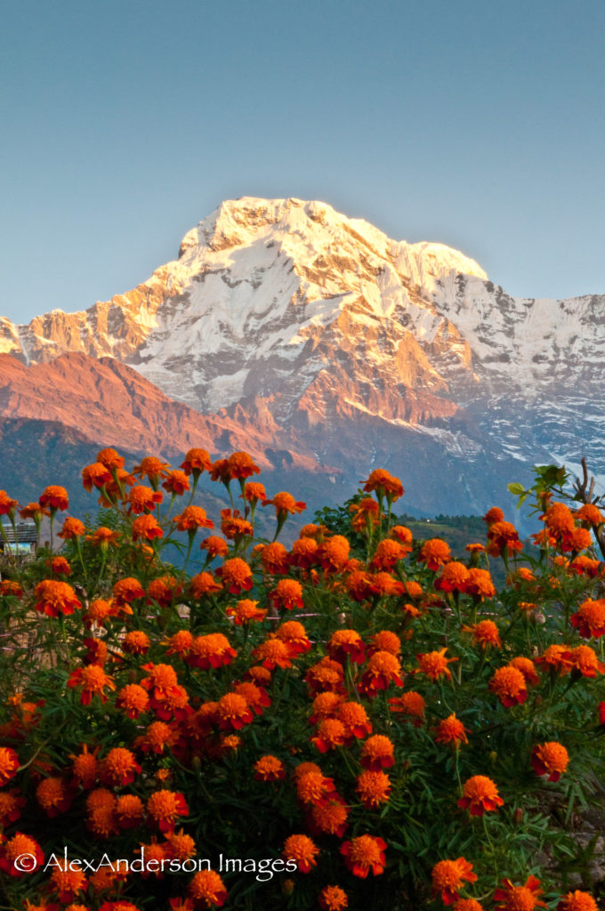 Himalchuli from Ghandruk